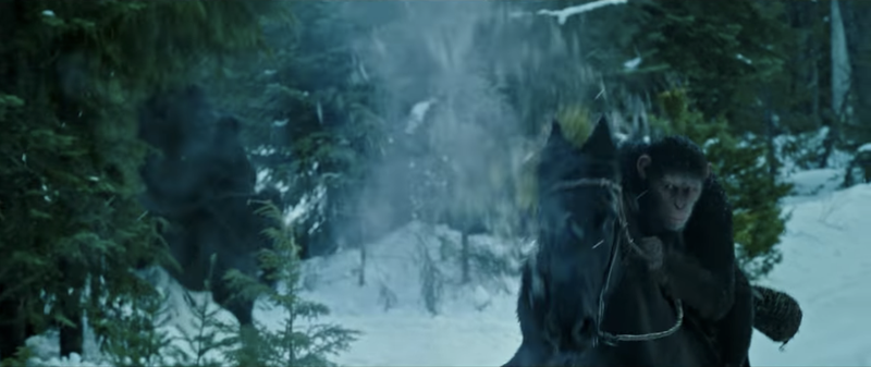 Illustration for article titled War for the Planet of the Apes Is Expanding Its World Beyond Caesar